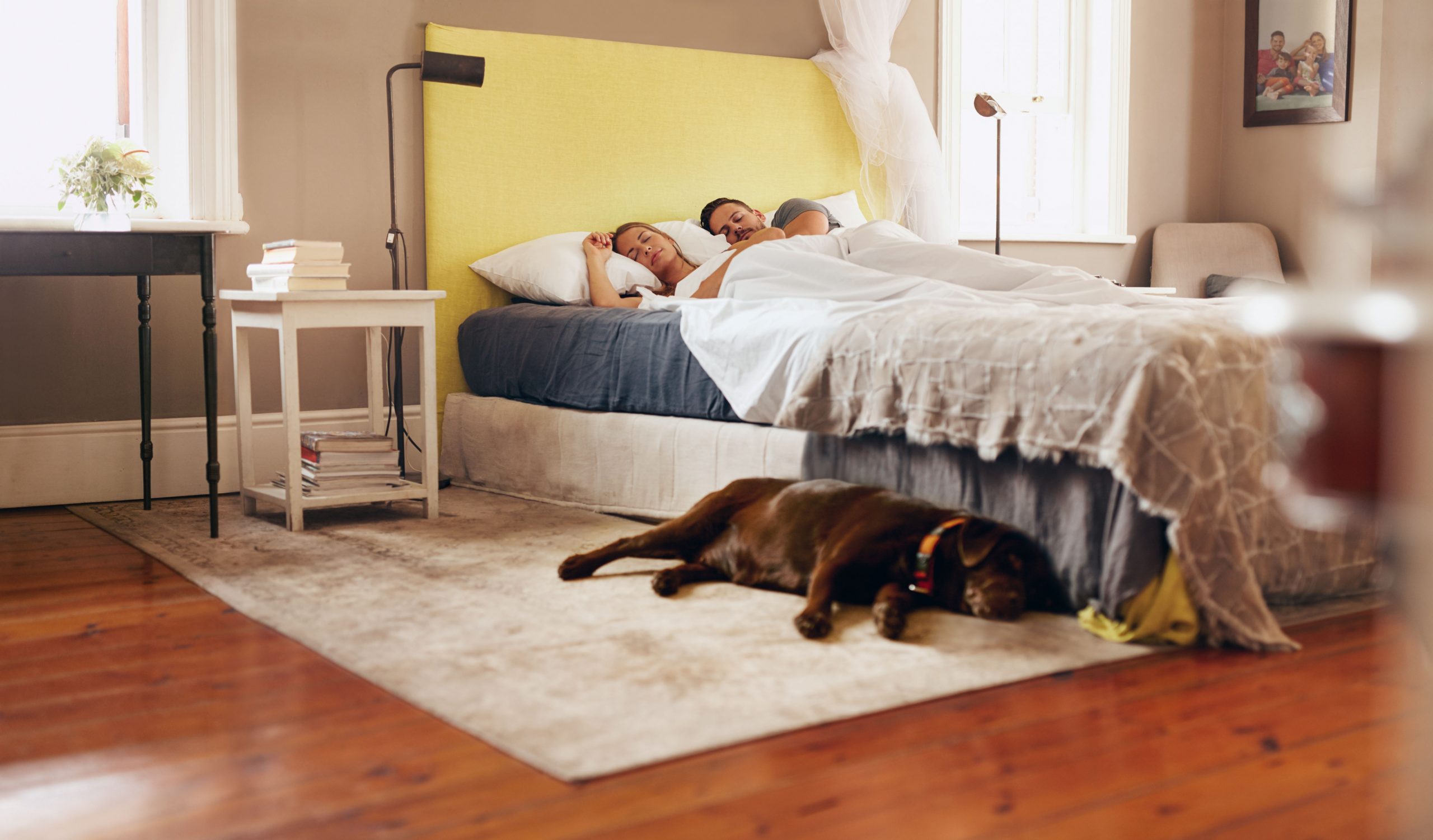 young-couple-sleeping-comfortably-on-bed-with-dog-PC9MZYJ